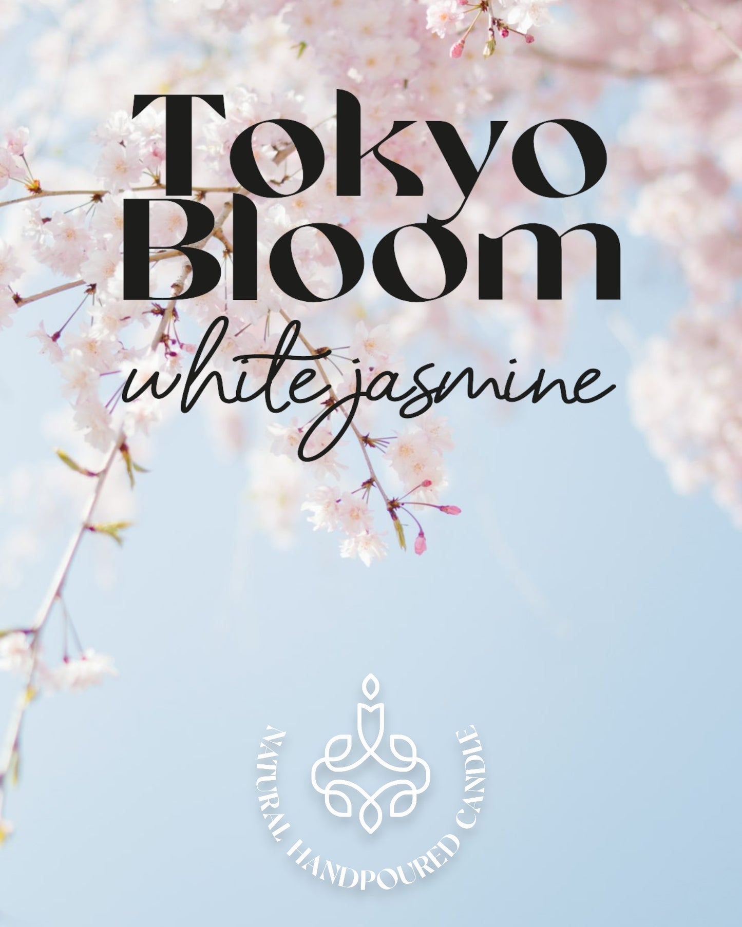 Tokyo Bloom